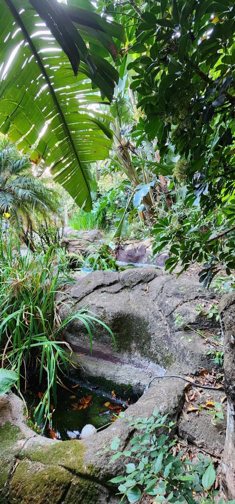 Bali At Scenic Haven Lodge In Hartbeespoort Luaran gambar